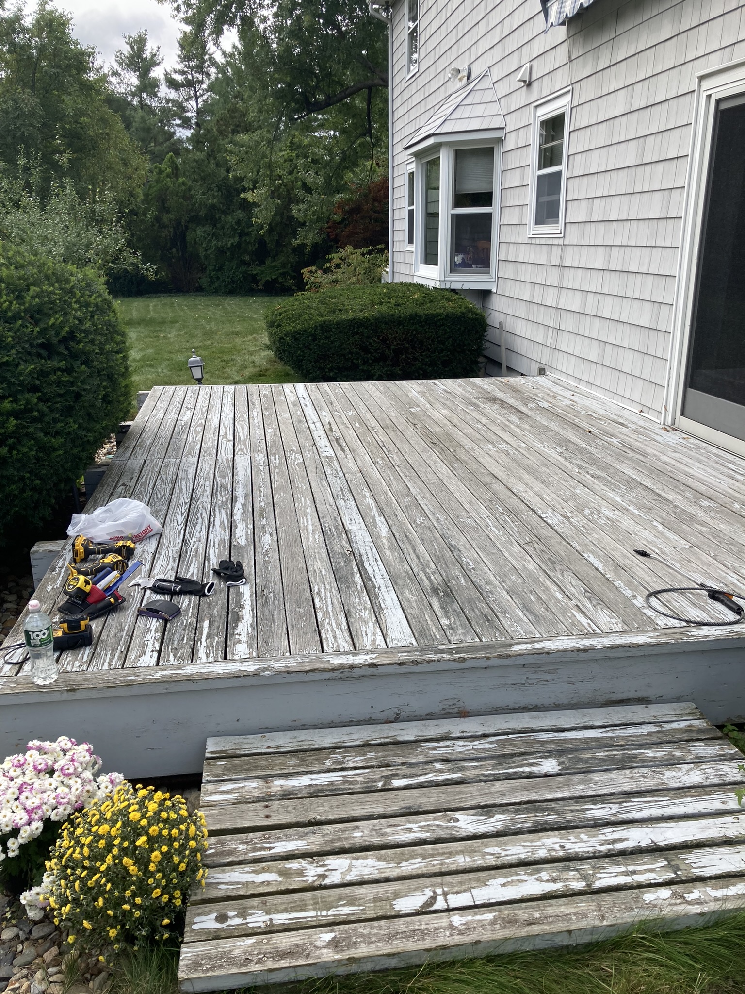 Reduce, Reuse, Recycle, Old Growth Timber part three