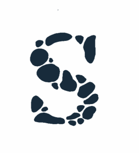 Four Dewalt Cordless Tools This Home Improvement Expert Will Not Leave Home Without